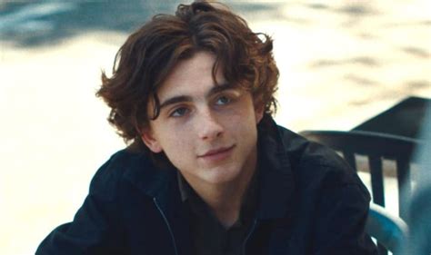 what movies has timothee chalamet been in.